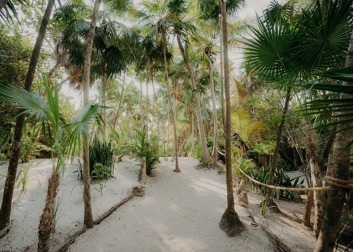 Peaceful Veleta With Private Terrace And Pool * Tulum